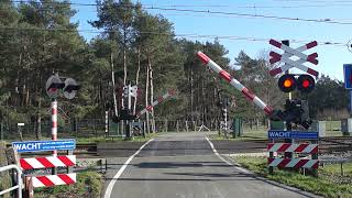 Spoorwegovergang Wezep  Dutch Railroad Crossing [upl. by Setarcos64]