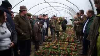 Tenbury Wells England’s Mistletoe Town holds its famous Mistletoe Auctions [upl. by Dorotea]