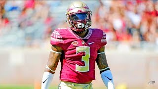 Hardest Hitting Safety in the ACC  Florida State Safety Derwin James Career Highlights ᴴᴰ [upl. by Mercola213]