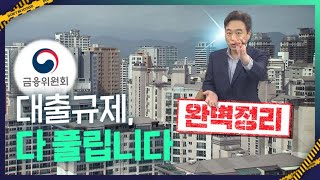 대출 창구서 퇴짜 놓는 DSR 규제 이렇게 뚫으세요 대출규제 완화 발표 완벽정리 [upl. by Ecirpak]