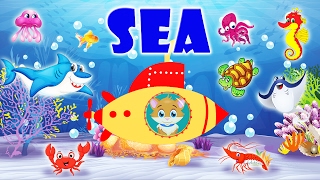 Learn Sea animals for Kids  English vocabulary [upl. by Hsiekal]