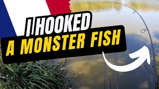 i HOOKED a MONSTER Angling Lines  Lillypool  France Fishing [upl. by Acirrehs]