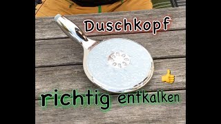 Duschkopf richtig entkalken GROHE Duschkopf [upl. by Alikee368]