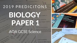 AQA 2019 Predictions  Biology Paper 1 [upl. by Latsyrd363]