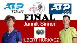 Sinner vs Hurkacz  ATP 500 Halle  Tennis Elbow 2013 [upl. by Armat]