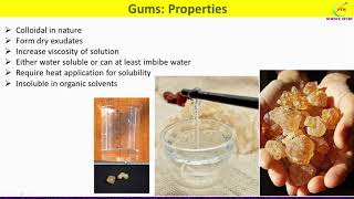 Gums Introduction Sources Properties and Uses [upl. by Sateia354]