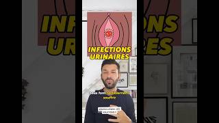 Infections urinaires  TOUT SAVOIR [upl. by Mccafferty903]