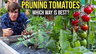 How to Prune Indeterminate Tomato Plants 4 METHODS [upl. by Ihana]