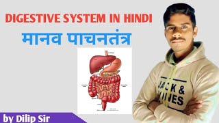 DIGESTIVE SYSTEM ll पाचनतंत्र ll digestive system anatomy ll DMC BODHGAYA ll dilip sir [upl. by Yanad680]