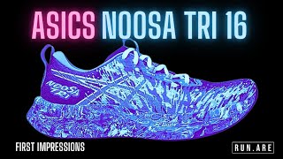 ASICS Noosa Tri 16  THE BEST SHOE OF 2024 First Impressions [upl. by Herwin]