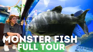 Worlds LARGEST Monster Fish FULL Tour at Ohio Fish Rescue [upl. by Siurtemed]