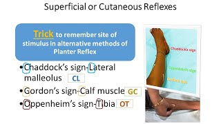 Motor System Examination Part11  Superficial Reflexes  CNS Examination  Pediatrics [upl. by Daniell]