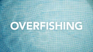 Overfishing [upl. by Onitsuj59]