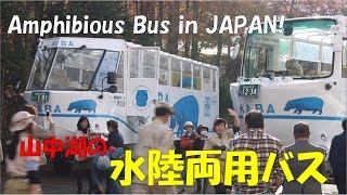 Top 5 Best Amphibious Buses in the World  Water Bus  Amphibious Bus Tour [upl. by Nicolea591]