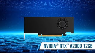 NVIDIA RTX A2000 12GB  Compact Design amp Unmatched Performance [upl. by Morehouse]