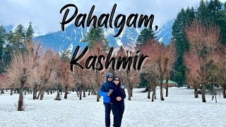 Pahalgam Winter Kashmir in March April amp May complete travel guide  Betaab Valley  Aru Valley [upl. by Crane]