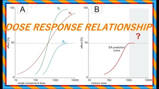 Dose Response Relationship  Environmental Science  Toxicology amp Ecotoxicology  2022 [upl. by Atsirc]