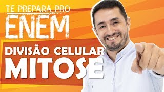 DIVISÃO CELULAR INTERFASE E MITOSE  PONTOS DE CHECAGEM  CANCER [upl. by Brout236]