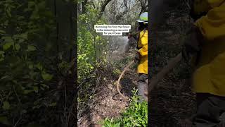 How To Save The Forests In California From Mega Wildfires  Controlled Burn [upl. by Sethrida]