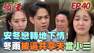 願望 EP40 完整版｜企業聯姻進行中！冬雨被逼當地下情人 添貴竟爆揍安迪？！美妍厚臉皮無上限 當眾挑釁正宮！｜Desires｜【蘿琳亞塑身衣】 [upl. by Doxia]