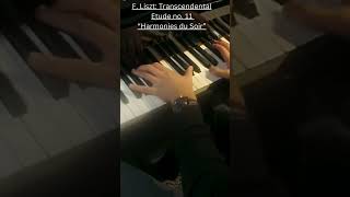 F Liszt Transcendental Etude No 11 quotHarmonies du Soirquot liszt lisztetude transcendentaletudes [upl. by Elson223]