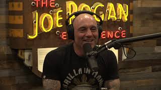 Joe Rogan Experience 1647  Dave Chappelle [upl. by Copp520]