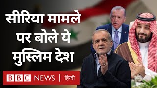 Syria Bashar AlAssad के पतन और Israel हमले पर क्या कह रहे हैं ये अरब देश BBC Hindi [upl. by Damales191]