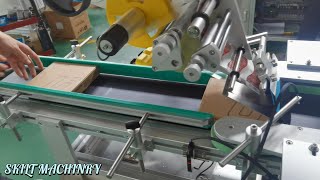 Self adhesive labels flat paste test labelling machine [upl. by Floeter]