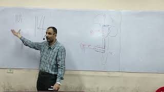 Clinical Neurology  Lec 1 Introduction  Dr Mahmoud Allam [upl. by Nimajaneb]