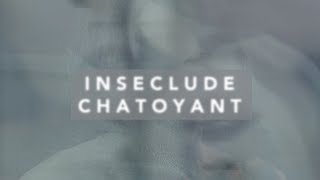 inseclude chatoyant [upl. by Yelkrab]