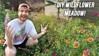 How To Create A Wildflower Meadow in 1 Year Native Garden Makeover DIY No Lawn [upl. by Eiaj373]