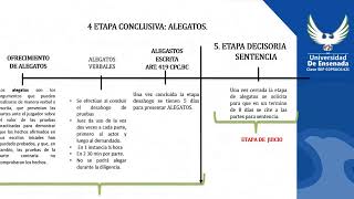 Procesal Civil La etapa probatoria y la etapa de alegatos [upl. by Llerraj]