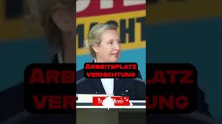 Alice Weidel Quittung für Politikversagen 💥 afd aliceweidel politik [upl. by Qidas]