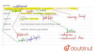 Stratified squamous nonkeratinized epithelium is present in the lining of [upl. by Wende]