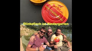 Surströmming  Wie schlimm schmeckt der schwedische Dosenfisch wirklich [upl. by Stoneman]