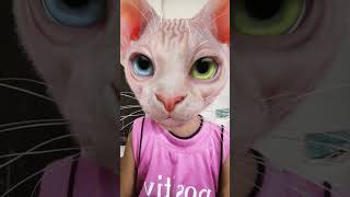 Billi kaise bolati meow [upl. by Dlonyar424]