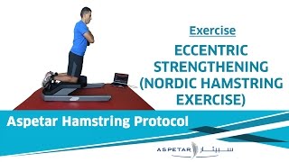 32 Exercises  Eccentric Nordic Hamstring [upl. by Akinar]