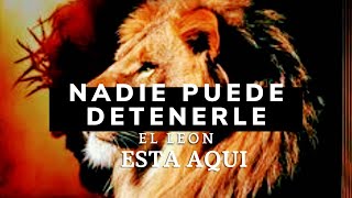 Nadie puede detenerle  El LEON está aquí con letras  Jesús el León de la Tribu de Judá [upl. by Ansley]