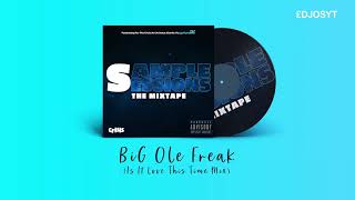 Sample Intro Mix Big Ole Freak  Megan Thee Stallion [upl. by Lehcear]