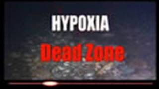 Hypoxia Dead Zone [upl. by Akcire]