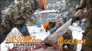 Cutting and Prepping Elk In The Field with Randy Newberg Hunter Part 1 of 3 [upl. by Intyrb]