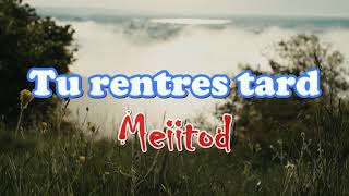 Meiitod Tu rentres Tard LyricsParoles [upl. by Koby]