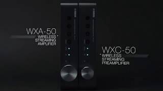 Yamaha MusicCast WXA 50 WXC 50 [upl. by Tolliver]