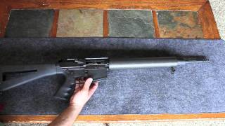 Review DPMS LR338 [upl. by Brunella]