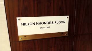 Hilton HHonors [upl. by Anirdnaxela]