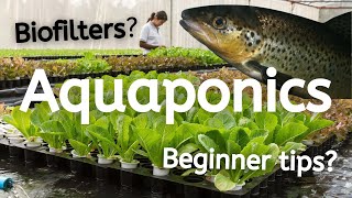 What is Aquaponics and How Does it Work [upl. by Anerac236]