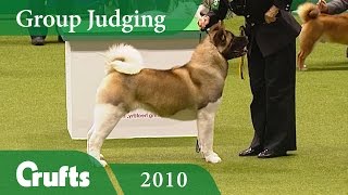 Akita Wins Utility Group Judging at Crufts 2010  Crufts Dog Show [upl. by Zeuqcaj660]