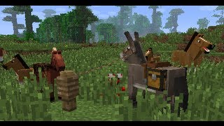 Snapshot 13w21a  Le retour de la fine équipe [upl. by Esirehs]