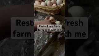 Restock my fresh farm eggs with me [upl. by Mcilroy]