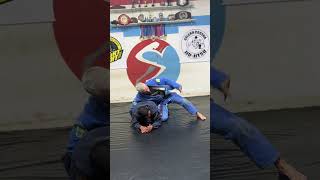 Estrangulamento de Lapela jiujitsu bjj shortsfeed shorts shortsvideo viralshorts viralvideo [upl. by Onahpets]